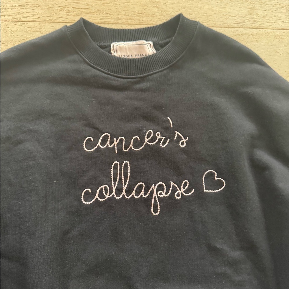 Lingua Franca RARE embroidered sweatshirt! XS Cancer’s Collapse - Picture 4 of 8